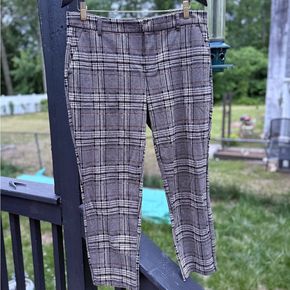 Liverpool Women's Checkered Ankle Pants - Black and Tan